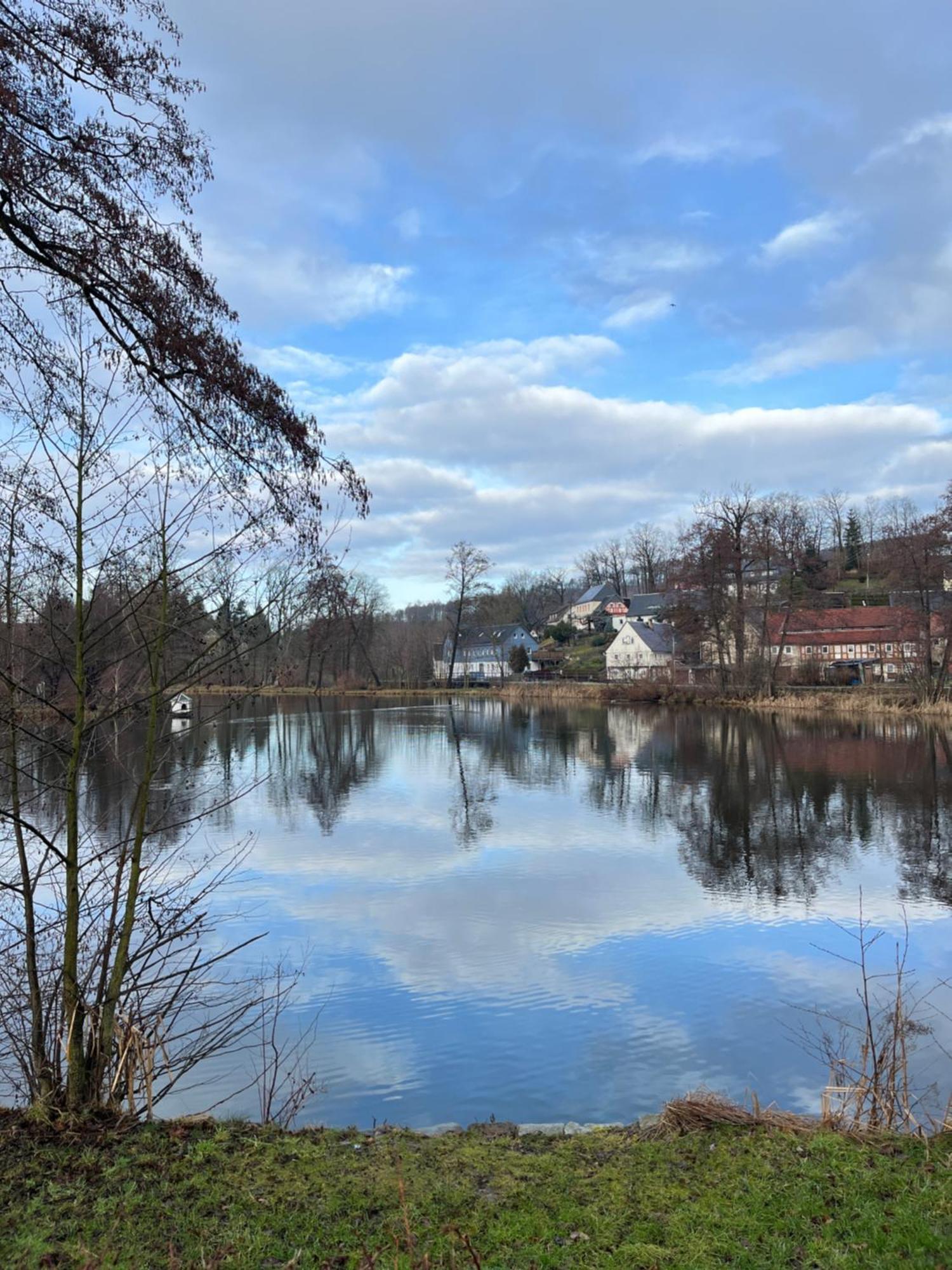 Ferienwohnung Idyll Am Weigsdorfer Teich Cunewalde Εξωτερικό φωτογραφία